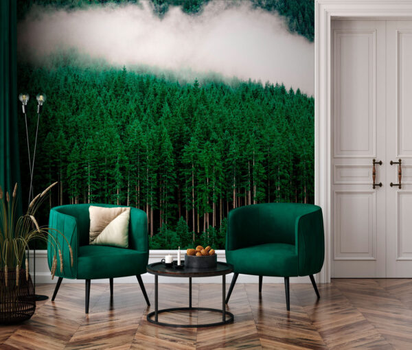 Group of trees in a forest Wall murals Group of trees in a forest