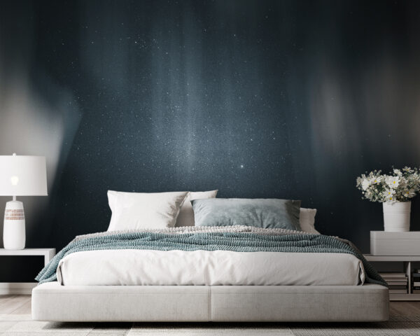 Dark sky with stars Wall murals Dark sky with stars