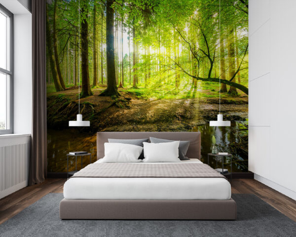 Forest with trees and sun shining through the trees Wall murals Forest with trees and sun shining through the trees