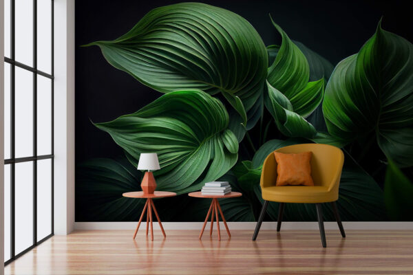 Lush green leaves in shadow Wall murals Lush green leaves in shadow