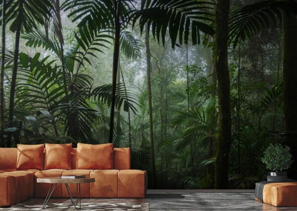Dense jungle with misty atmosphere Wall murals Dense jungle with misty atmosphere