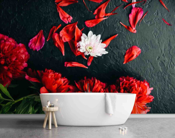 Group of red flowers with petals on a black surface Wall murals Group of red flowers with petals on a black surface