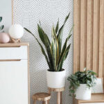 Wall murals White background with blue dots