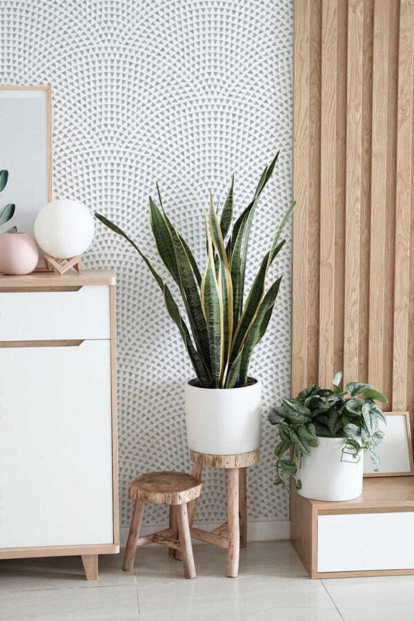 White background with blue dots Wall murals White background with blue dots