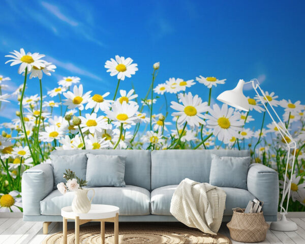 Field of white and yellow flowers Wall murals Field of white and yellow flowers