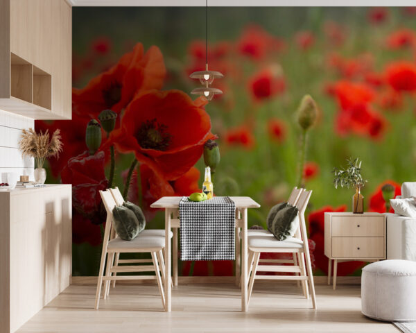 Field of red flowers Wall murals Field of red flowers