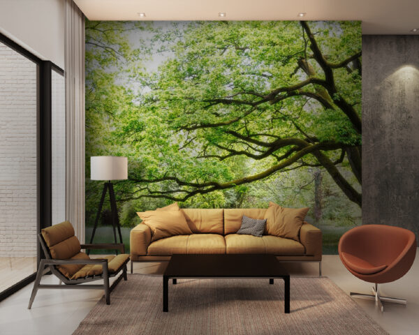 Tree with green leaves Wall murals Tree with green leaves