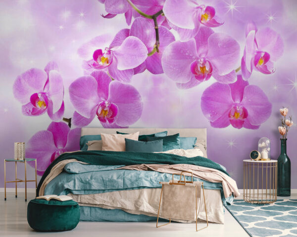 Delicate orchids in soft hues Wall murals Delicate orchids in soft hues
