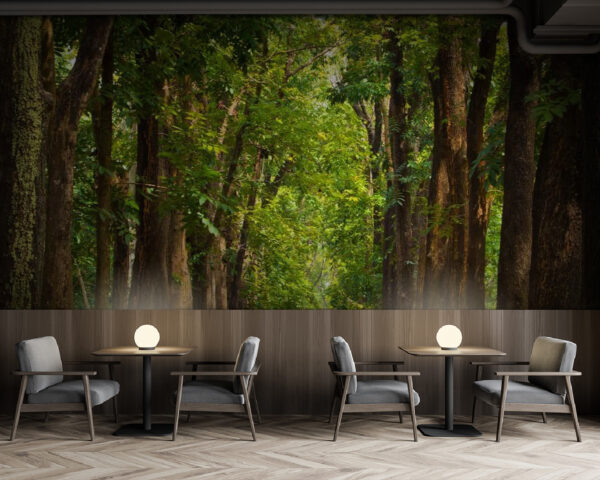 Path with trees on the side Wall murals Path with trees on the side