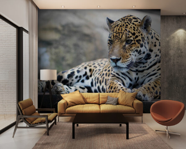 Leopard lying on a wood surface Wall murals Leopard lying on a wood surface