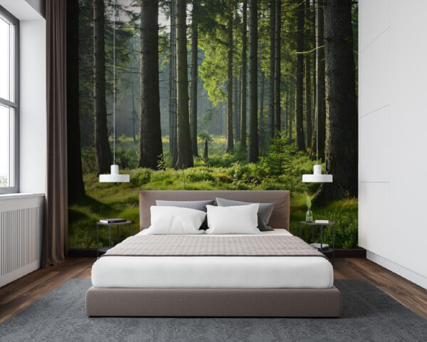 Forest with tall trees and grass Wall murals Forest with tall trees and grass