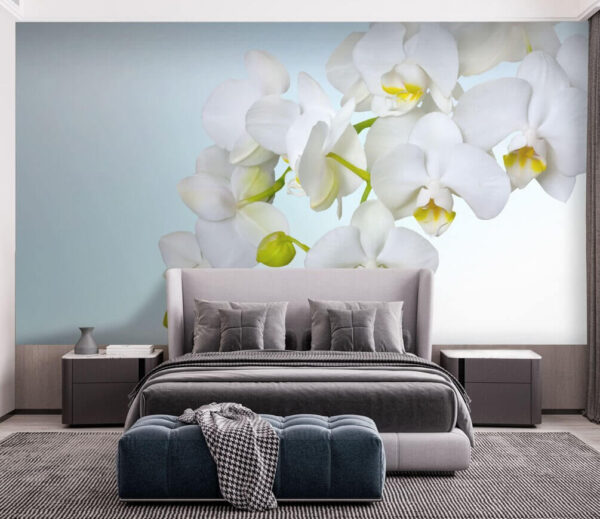 White orchids over water Wall murals White orchids over water