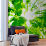 Wall murals Sunlight streaming through green leaves