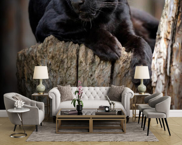 Black panther lying on a tree stump Wall murals Black panther lying on a tree stump