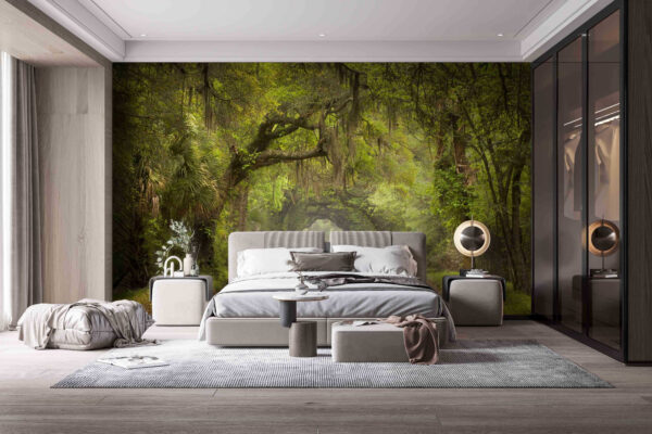 Dirt road with trees and mossy branches Wall murals Dirt road with trees and mossy branches