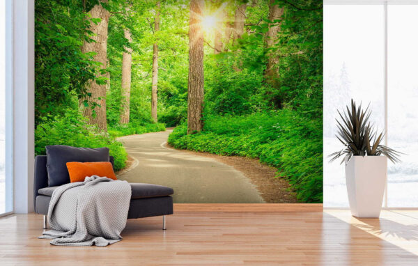 Sunlight through lush green forest Wall murals Sunlight through lush green forest