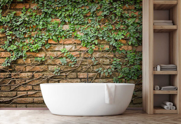 Brick wall covered in green vines Wall murals Brick wall covered in green vines