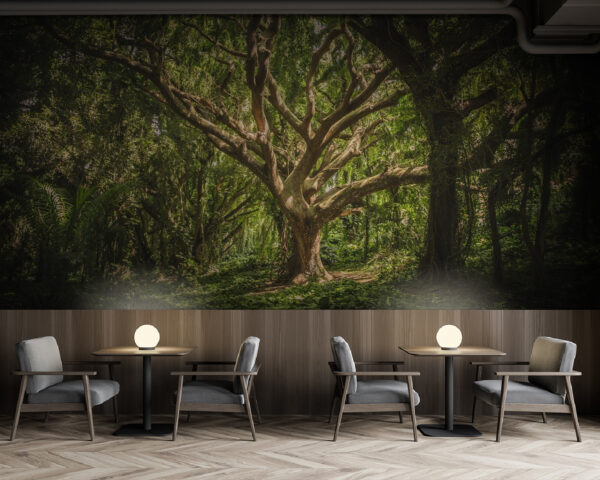 Large tree in a forest Wall murals Large tree in a forest