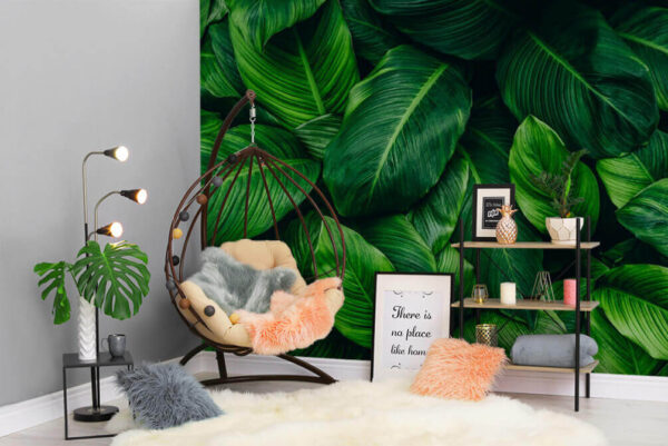 Group of green leaves Wall murals Group of green leaves
