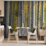 Wall murals Group of white trees with yellow leaves