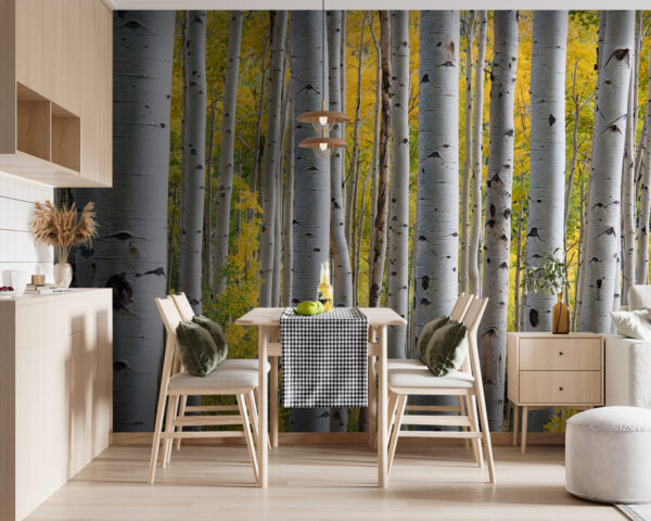 Group of white trees with yellow leaves Wall murals Group of white trees with yellow leaves