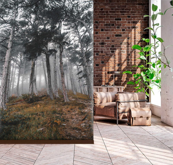 Forest with trees in the fog Wall murals Forest with trees in the fog