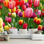 Wall murals Group of colorful tulips