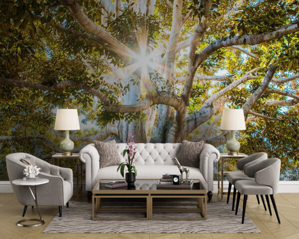 Majestic tree capturing sunlight’s essence Wall murals Majestic tree capturing sunlight’s essence
