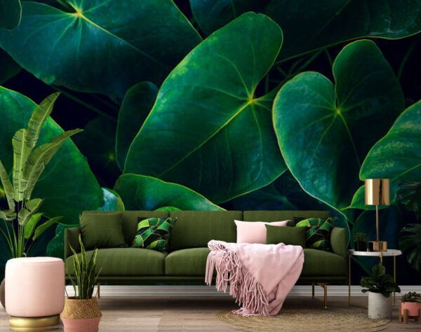 Lush green leaves in soft light Wall murals Lush green leaves in soft light
