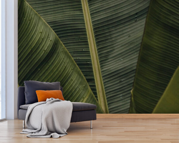 Lush green leaves in natural harmony Wall murals Lush green leaves in natural harmony