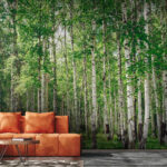 Wall murals Group of trees with green leaves