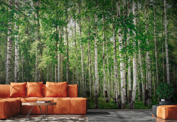 Wall murals Wall murals Group of trees with green leaves (SKU: u52530)