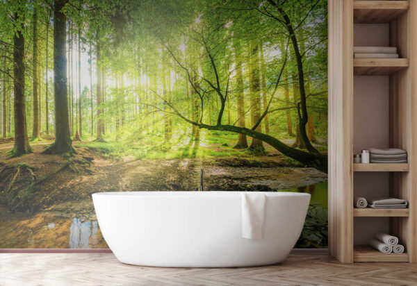 Sunlit forest with shimmering stream Wall murals Sunlit forest with shimmering stream