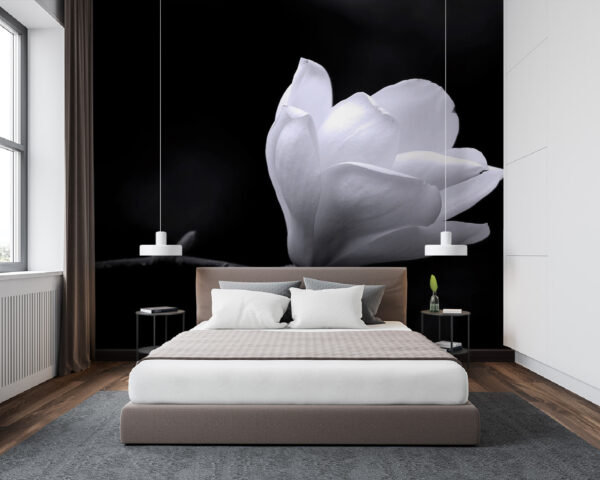 White flower on a branch Wall murals White flower on a branch