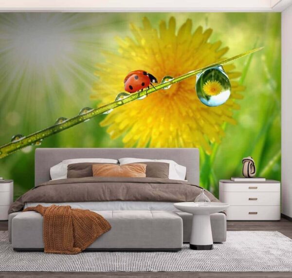Ladybug on a blade of grass Wall murals Ladybug on a blade of grass