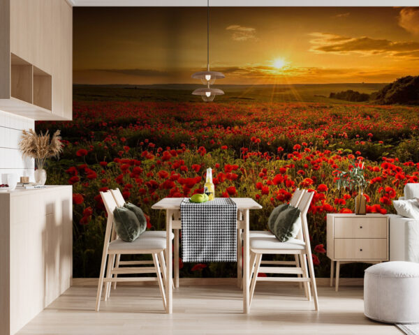 Field of red flowers Wall murals Field of red flowers