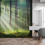 Wall murals Sunbeams streaming through the forest.