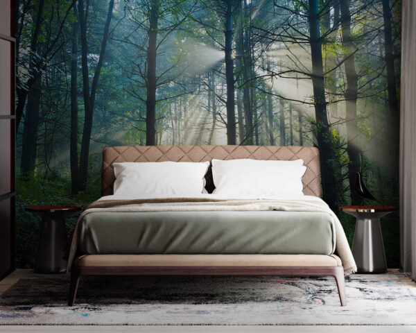Sun shining through trees in a forest Wall murals Sun shining through trees in a forest