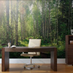 Wall murals Dirt path through a forest