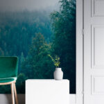 Wall murals Forest of trees with fog