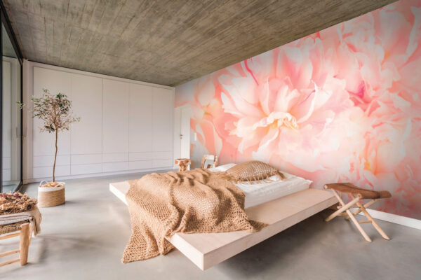 Delicate petals in soft hues Wall murals Delicate petals in soft hues