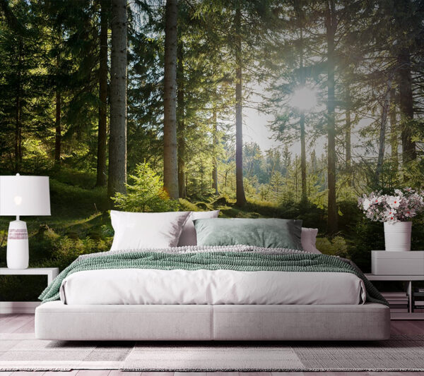 Sunlight streaming through the forest Wall murals Sunlight streaming through the forest