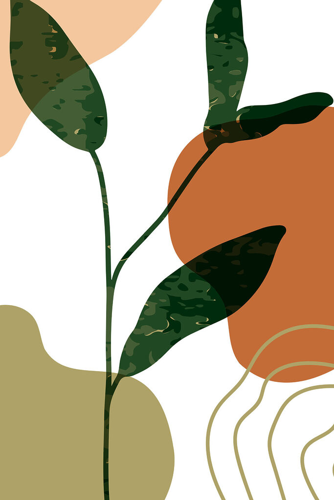 Image #1 from Dumitru M.