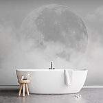 Wall mural Moon emerges through wispy clouds