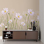 Wall mural Blooming daisies under the spring sky