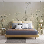 Wall murals Delicate wildflowers in soft light.