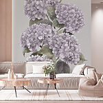 Wall murals Lavender hydrangeas in elegant bloom
