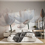 Wall murals Delicate blooms in soft light