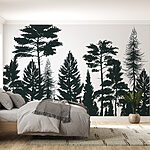 Wall murals Group of trees in a forest