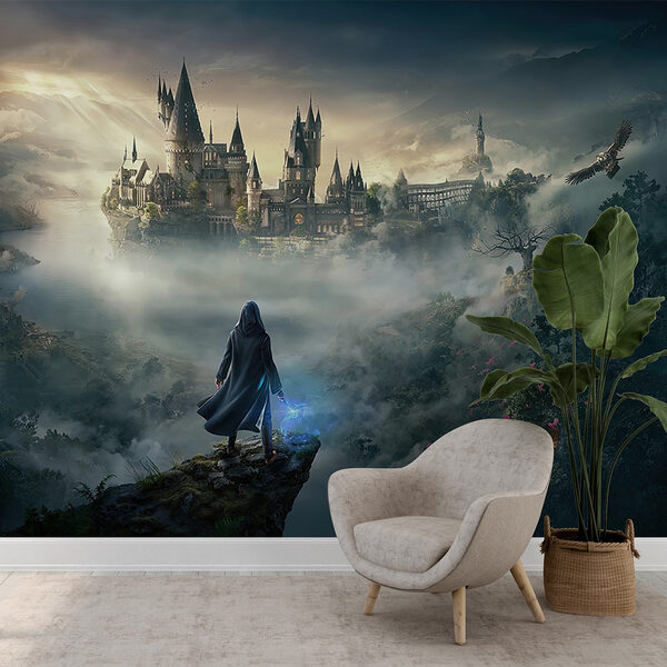 Person standing on a cliff looking at a castle Wall murals Person standing on a cliff looking at a castle
